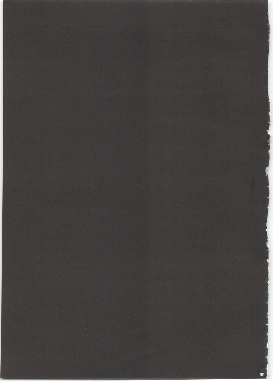 c97-tenkirin-kanroame-datte-fuku-taka-iindamon-pokemon-sword-and-shield-pokemon-sun-and-moon