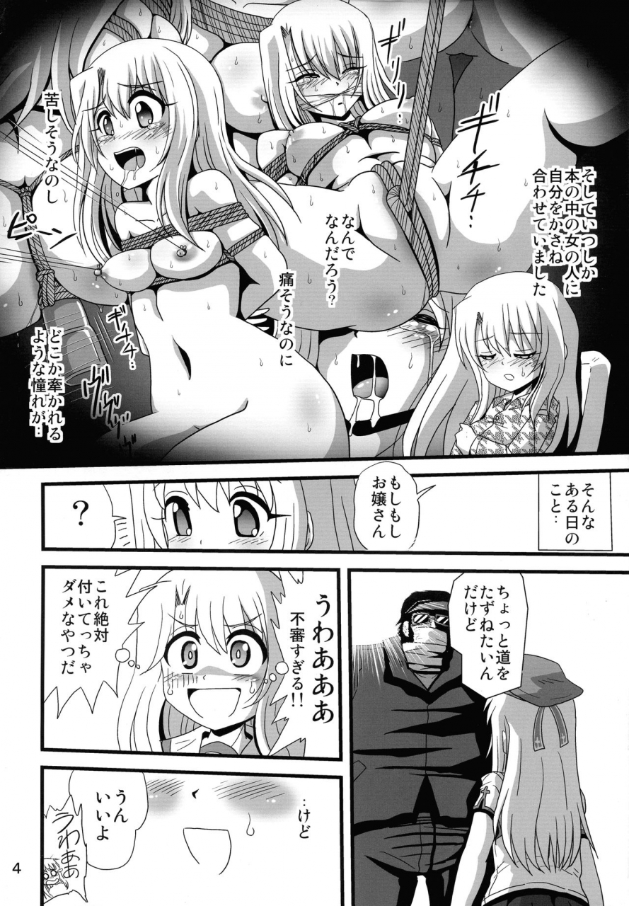 c97-thirty-saver-street-various-wana-ni-ochita-eiyuu-shoukan-4-fatekaleid-liner-prisma-illya
