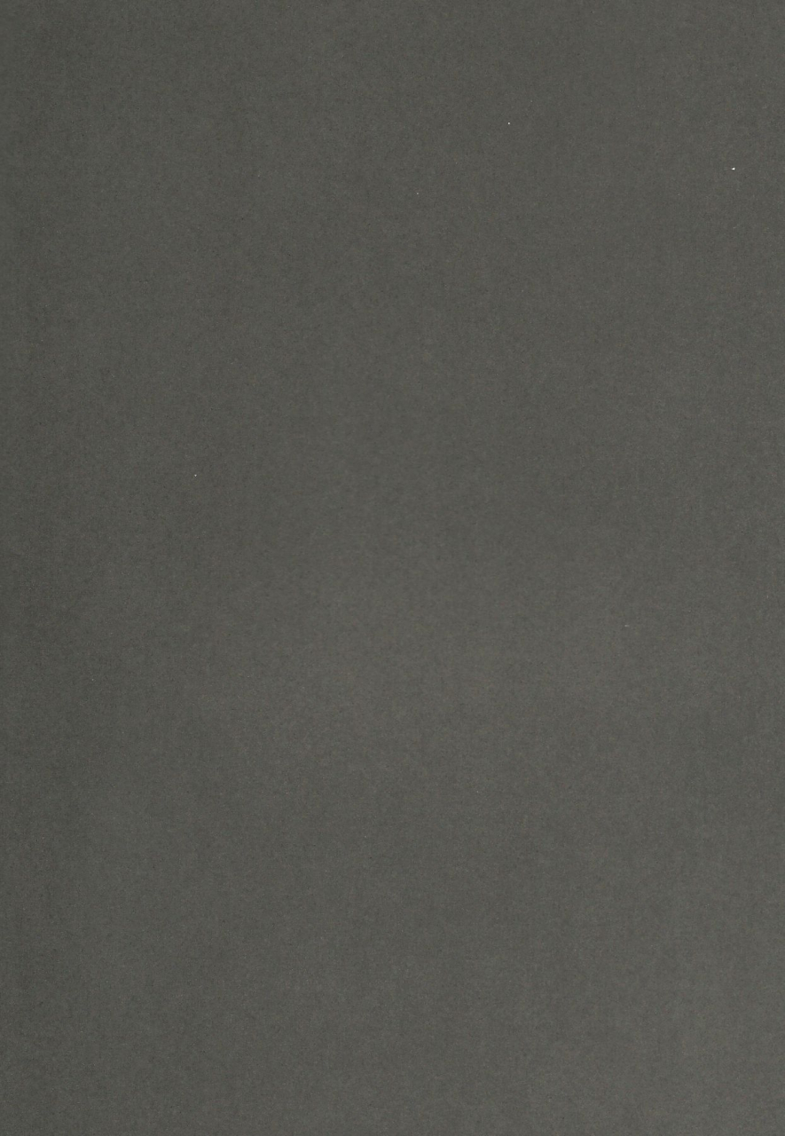 kahou-wa-nete-matsu-shunmin-2019-inu-mary-kotei-mikado-x2-assort2-osomatsu-san