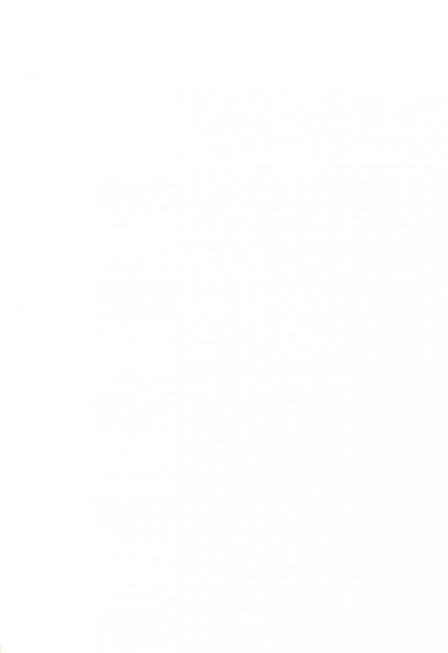 puniket-40-wancho-ke-wancho-wancho-ke-no-hitori-goudou-various