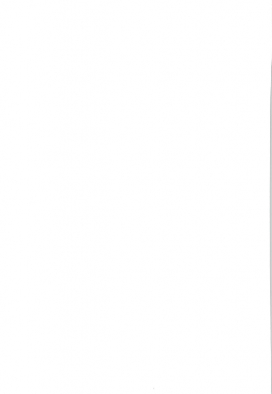 puniket-40-wancho-ke-wancho-wancho-ke-no-hitori-goudou-various