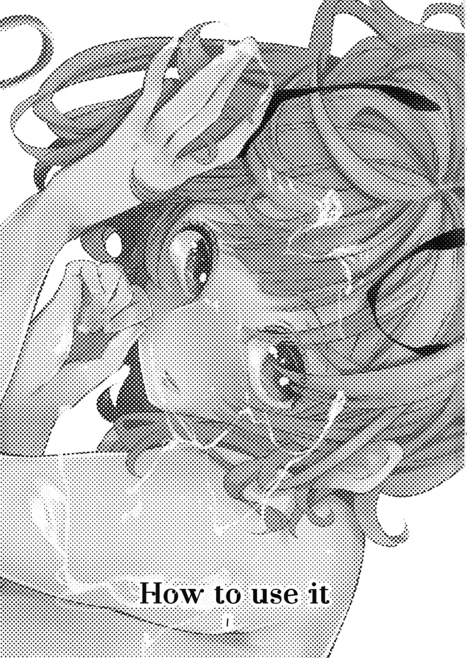 reitaisai-16-schwarz-libelle-sisakugata-wakka-no-tsukaikata-touhou-project