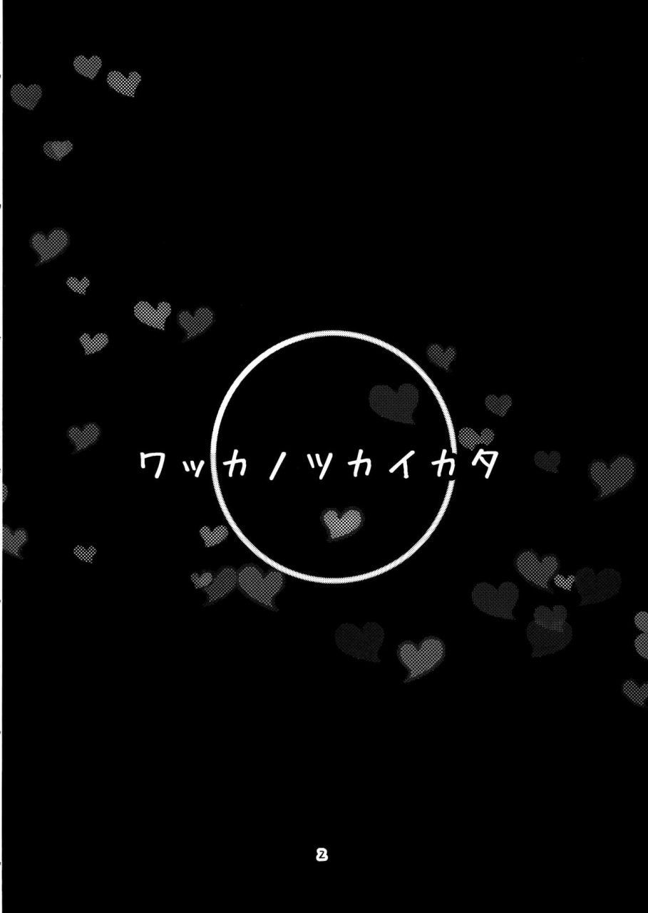 reitaisai-16-schwarz-libelle-sisakugata-wakka-no-tsukaikata-touhou-project