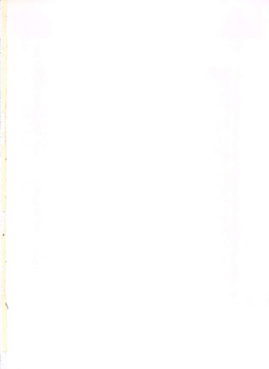 sc4-poyopacho-umiushi-uk-various