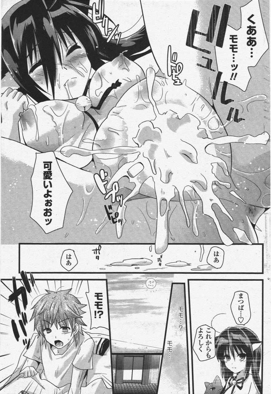 comic-penguin-club-2009-11