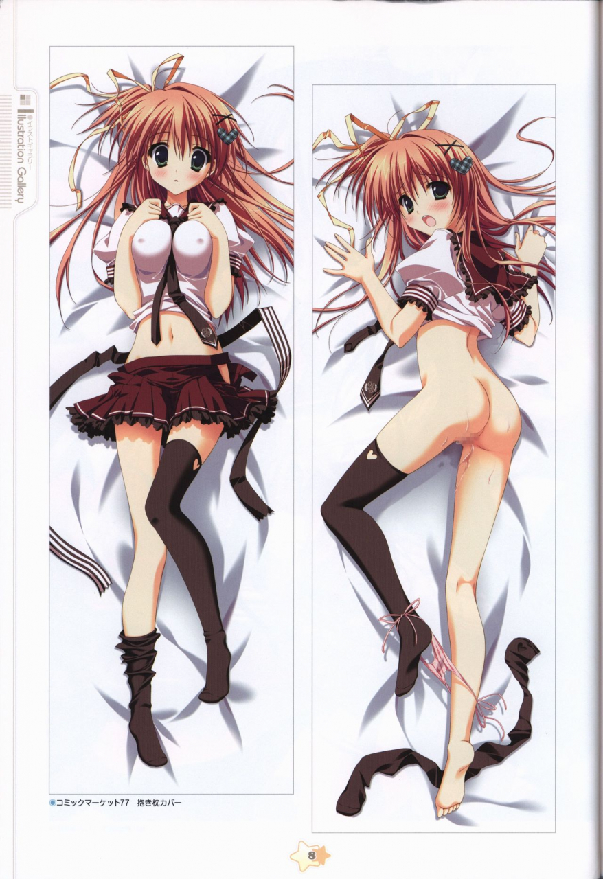 hoshizora-e-kakaru-hash-visual-fanbook