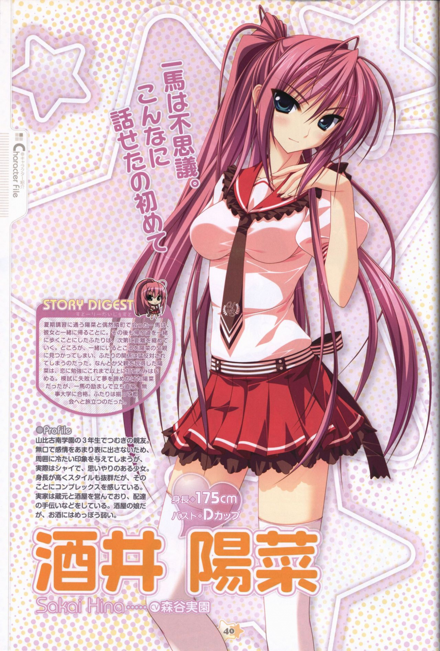 hoshizora-e-kakaru-hash-visual-fanbook