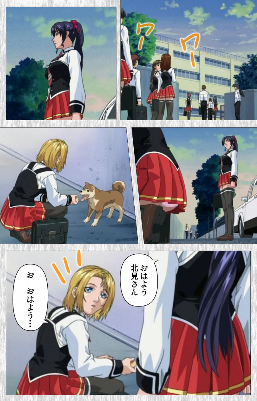 active-full-color-seijin-ban-bible-black-gaiden-kanzenhan