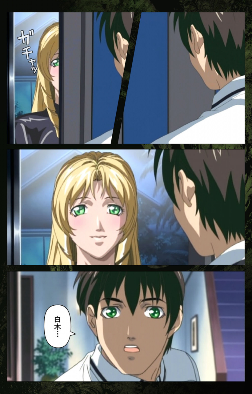 active-full-color-seijin-ban-bible-black-kanzenhan