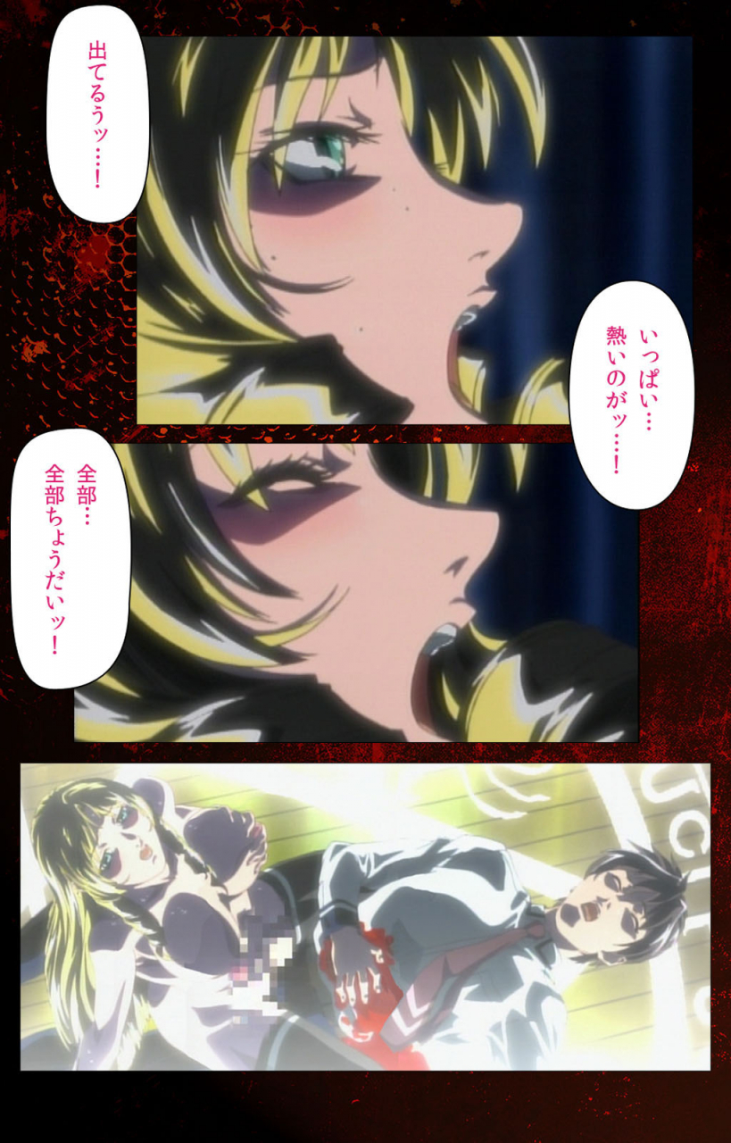 active-full-color-seijin-ban-bible-black-kanzenhan