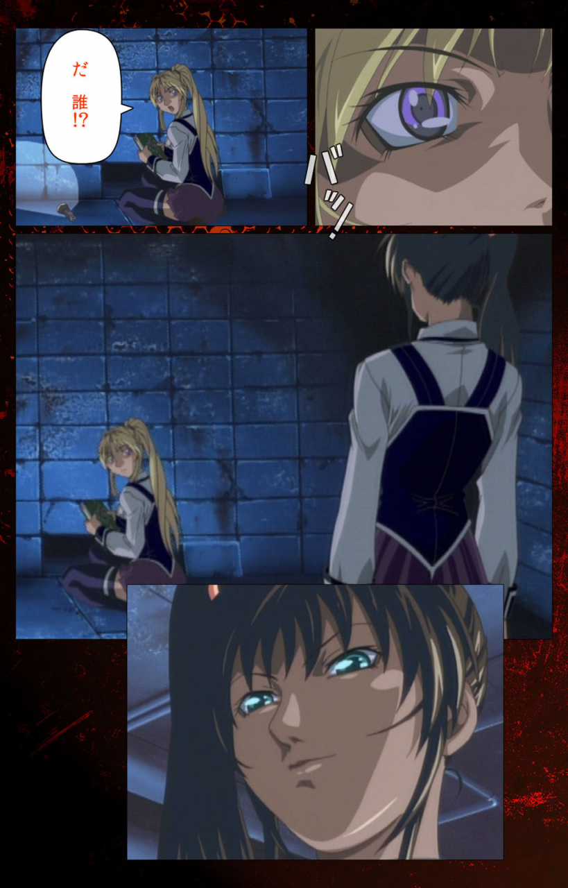 active-full-color-seijin-ban-bible-black-kanzenhan