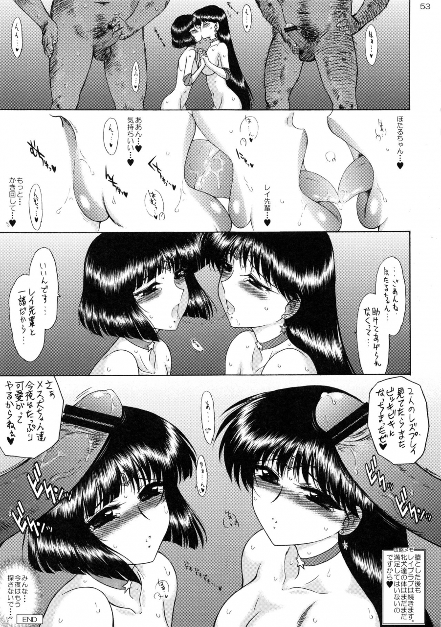 black-dog-kuroinu-juu-soft-wet-kanzenban-bishoujo-senshi-sailor-moon-2013-03-15