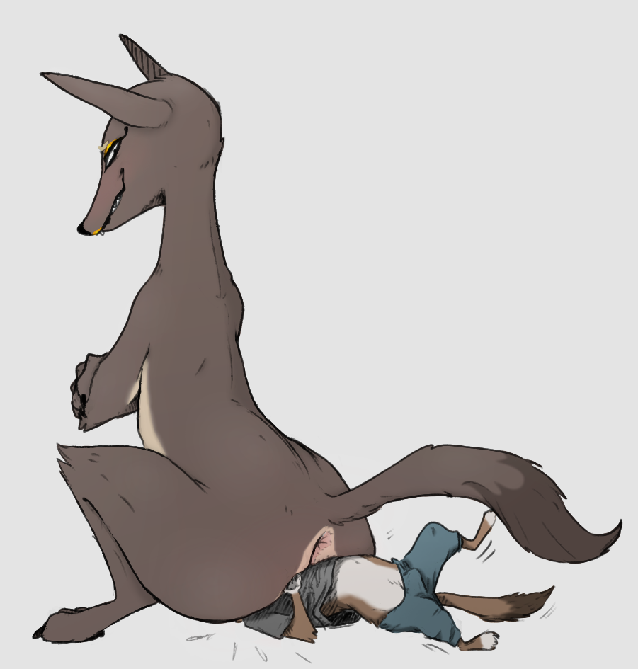 avo-weavermarty-weaver