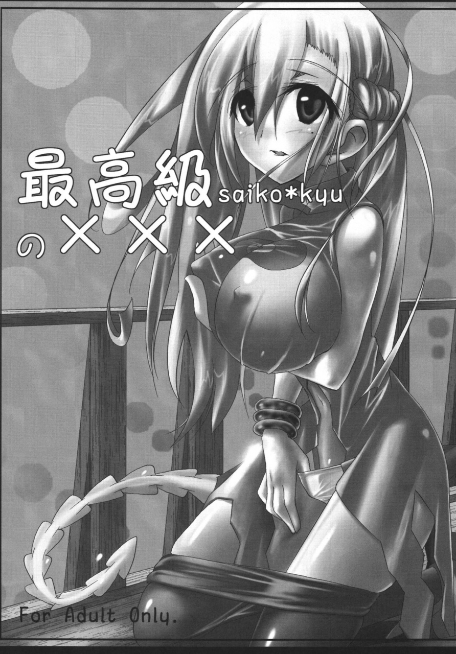 e-ise-yuushi-tessen-premium-xxx-summon-night-4-digital