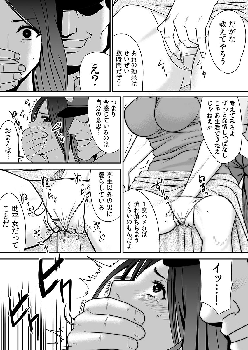 edogawa-koubou-joushiki-o-kakikaerareta-hitozuma-wa-kyou-mo-sei-no-kyouen-o-kurikaesu-pack