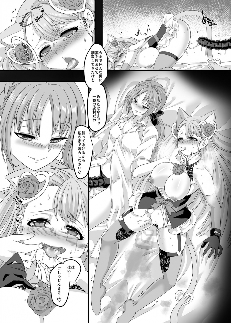 hawk-bit-kouji-gyaku-pako-digital