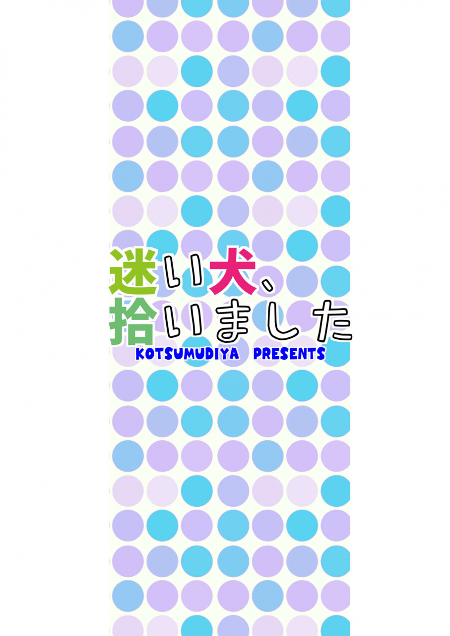 kotsumudiya-kotsumudi-mayoiinu-hiroimashita-digital