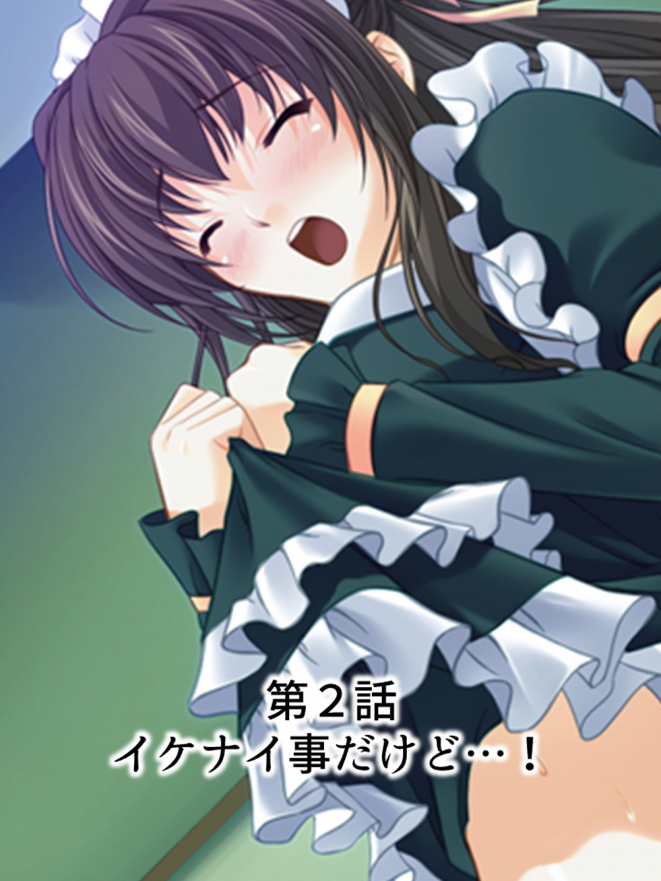 monmon-dou-nee-chan-wa-boku-no-kokan-no-sewagakari-konna-seikatsu-yamerarenai