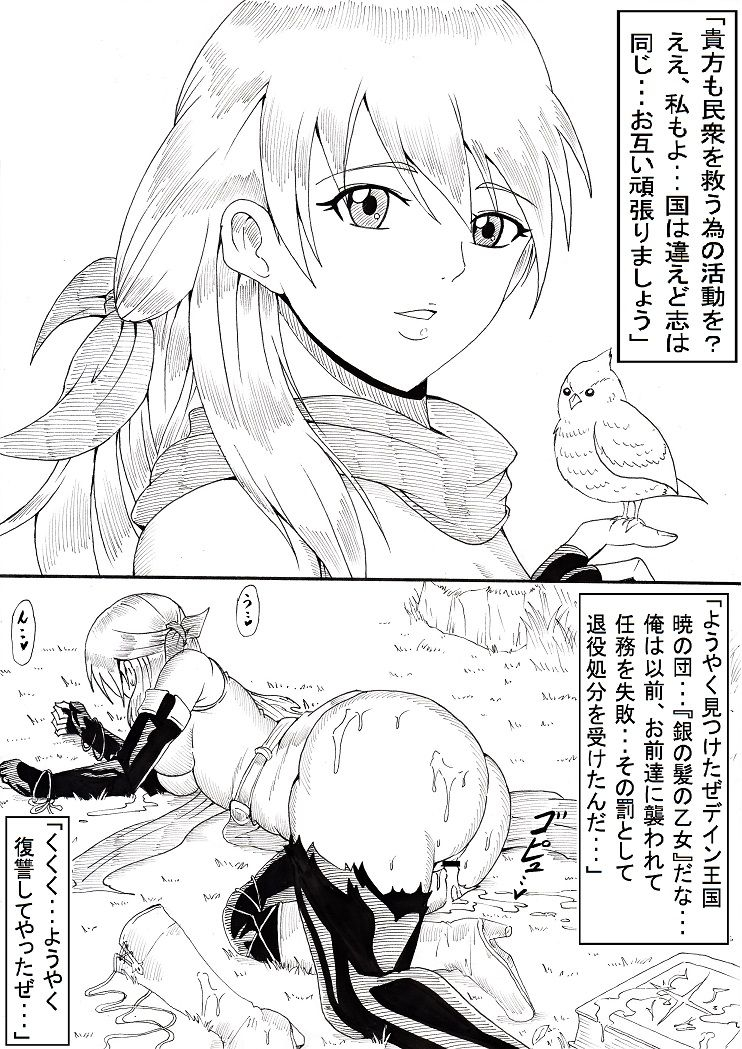 ninnindo-tonsuke-n-zukan-jizen-jigo-hen-various