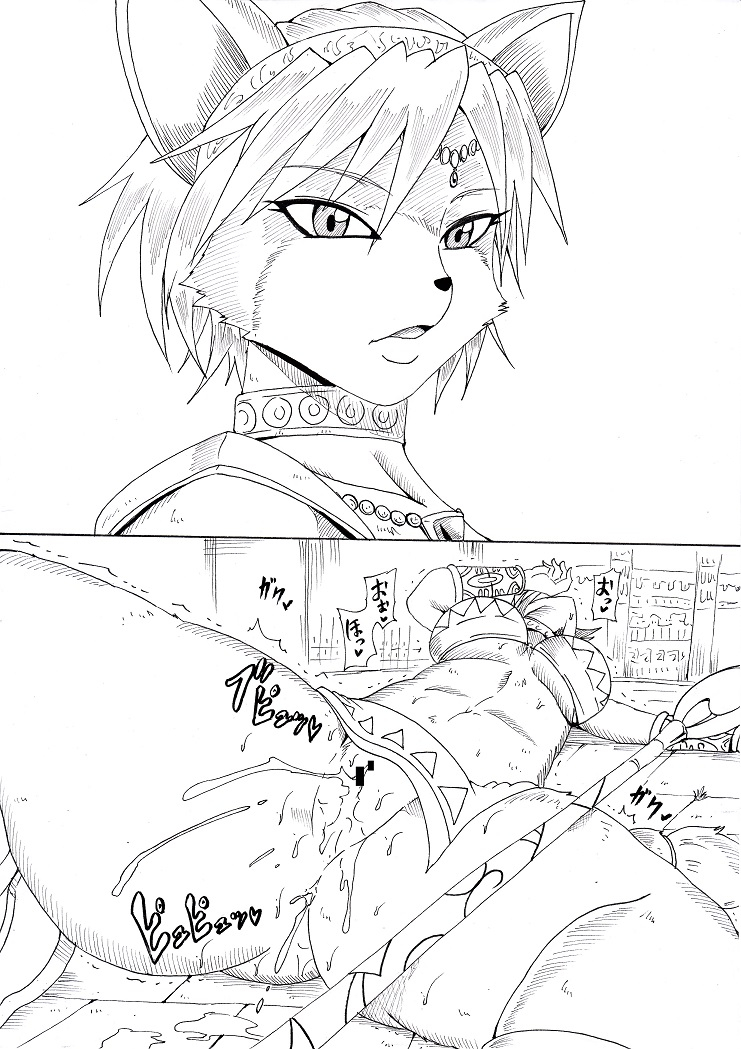 ninnindo-tonsuke-n-zukan-jizen-jigo-hen-various