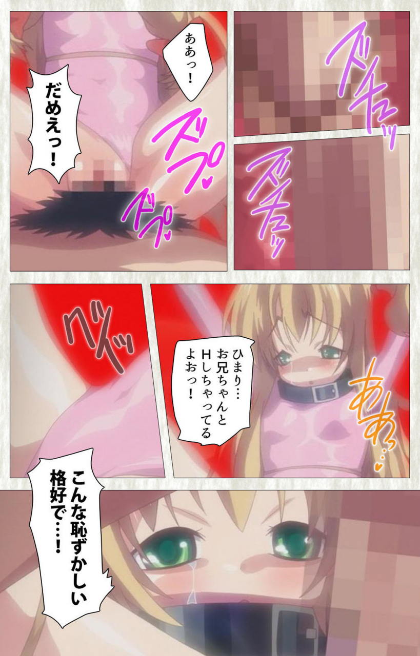 softhouse-seal-grandee-full-color-seijin-ban-zettai-junshu-kyousei-kozukuri-kyokashou-kanzenhan-kanzenhan