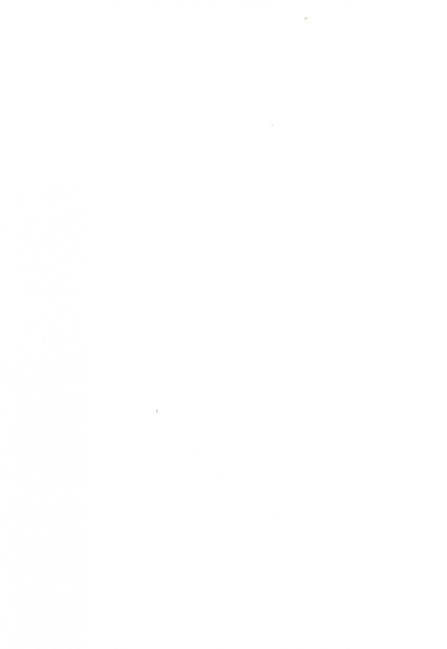 tokai-oohashi-kari-ryu-ya-onpu-chanhana-chan-ojamajo-doremi