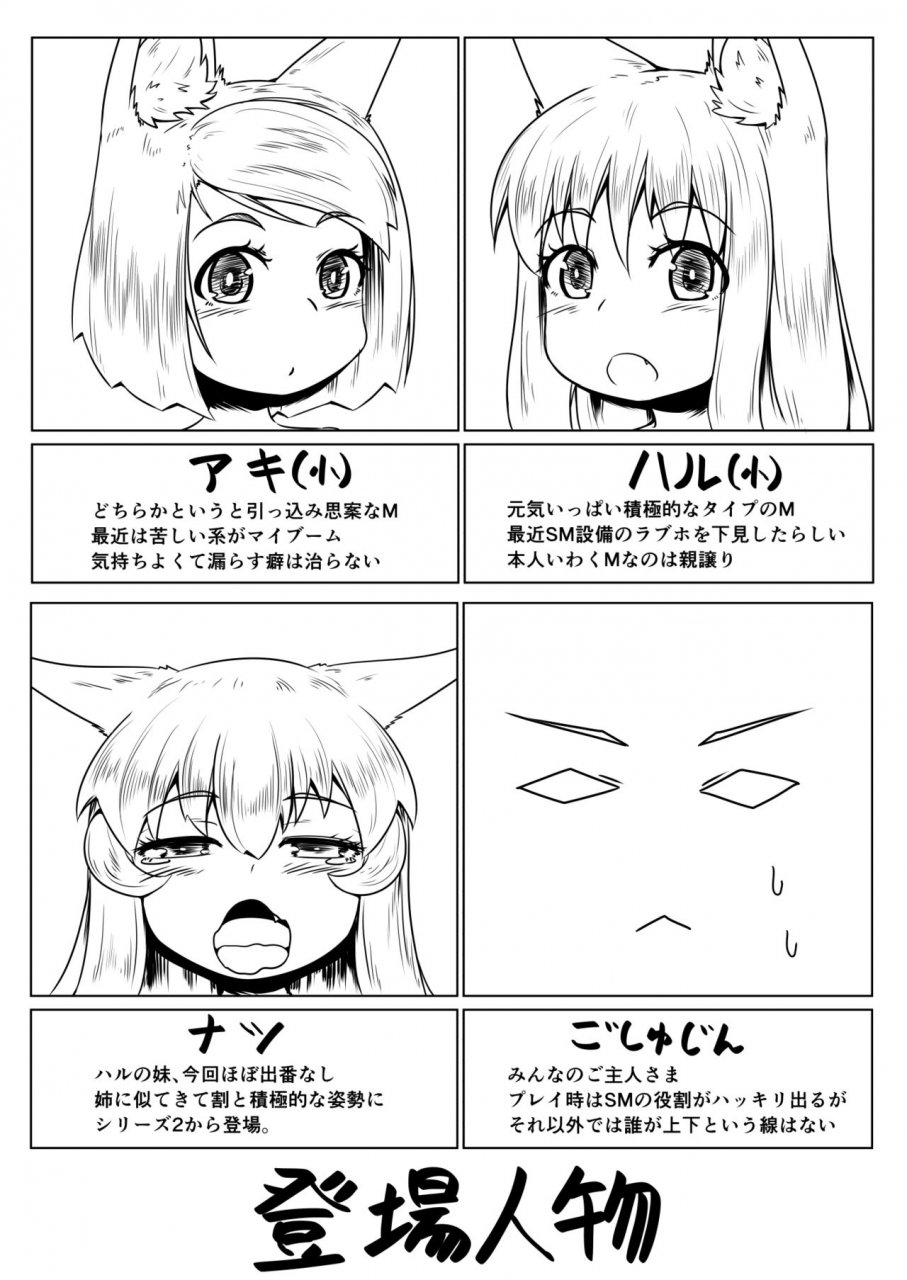 toriaezu-kitsunekov-fox-maniax4