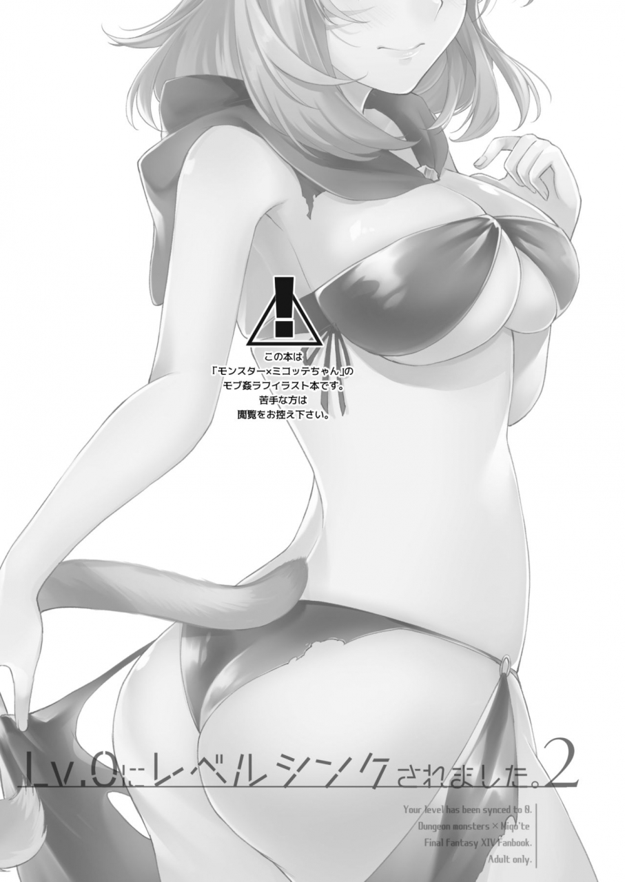 unidentified-flying-baumkuchen-nanase-kokono-lv0-ni-level-sync-saremashita-2-your-level-has-been-synced-to-0-final-fantasy-xiv-digital