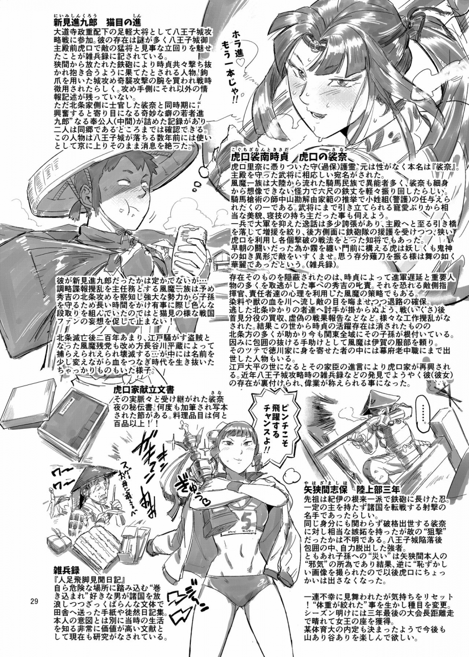 volvox-opcom-tiger-sprinter-digital