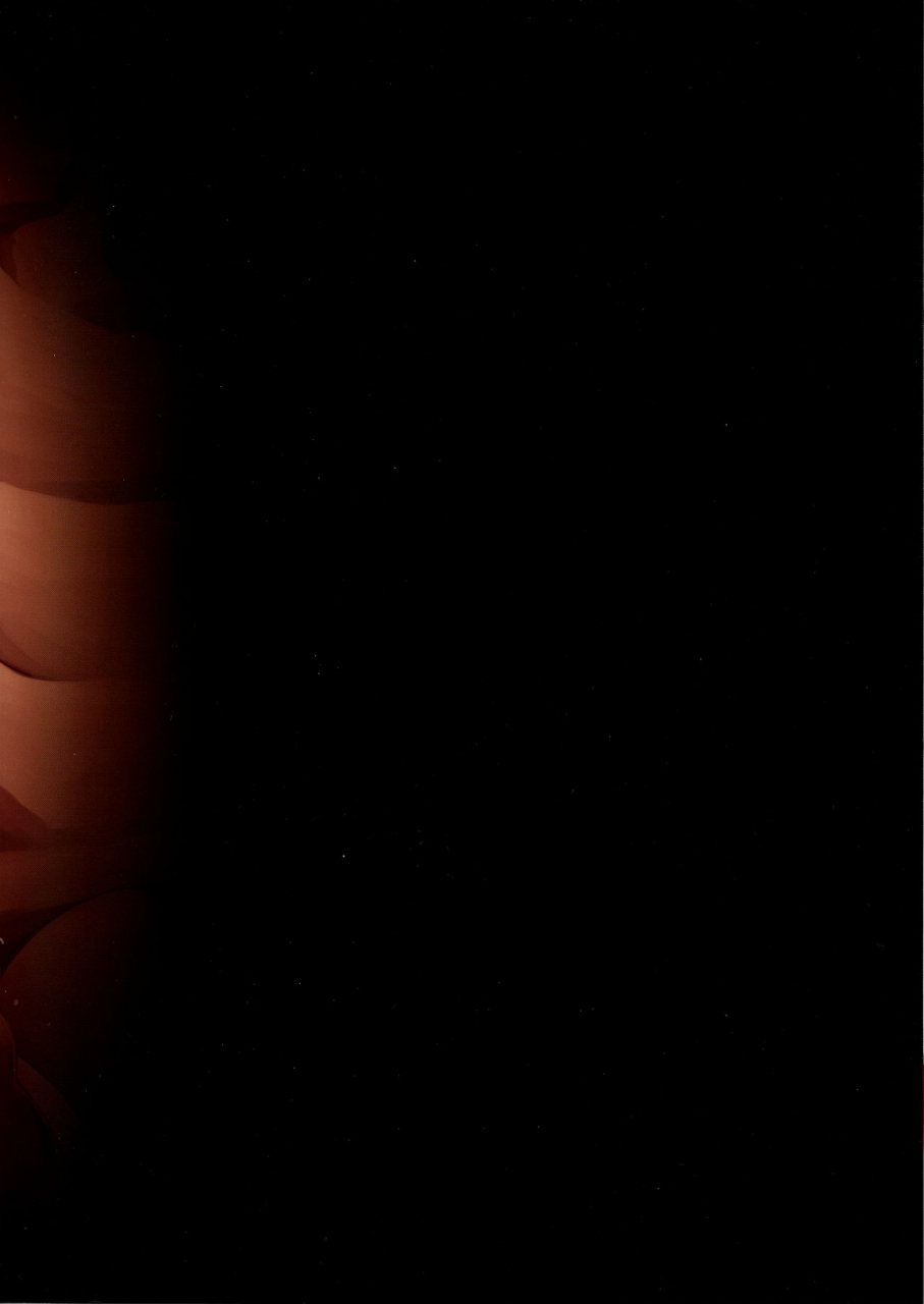 c95-longhorntrain-cyocyo-meten-puela-level3-english-nishimaru