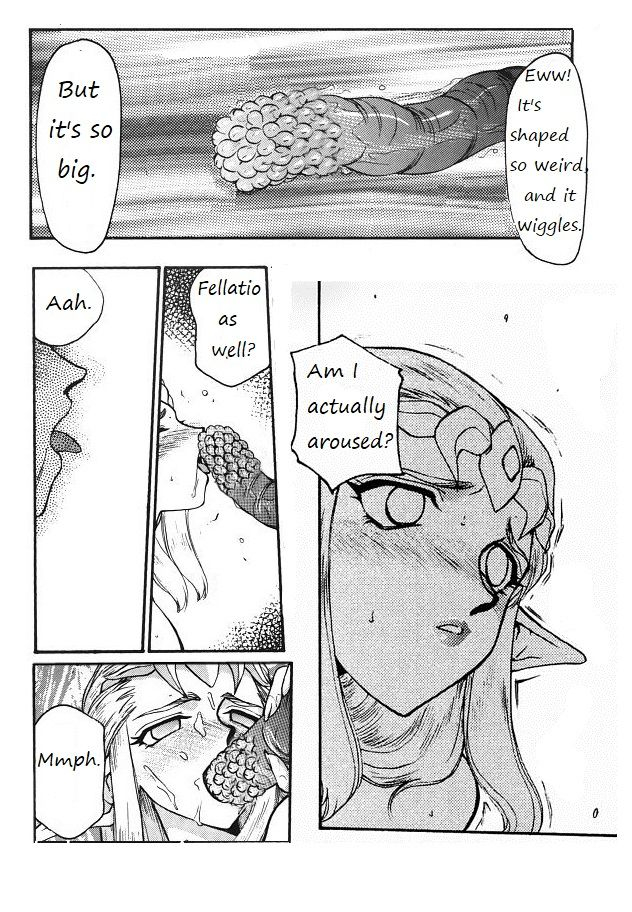 legend-of-zelda-zeldas-strive-rewrite