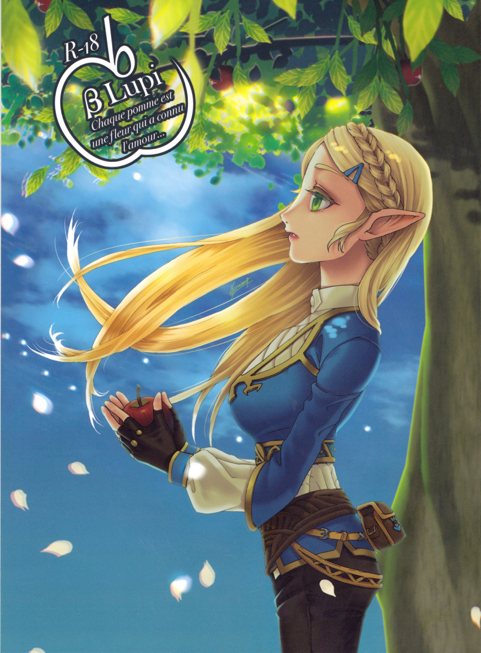 all-star-9-mylab-shiroa-urang-blupi-the-legend-of-zelda-english