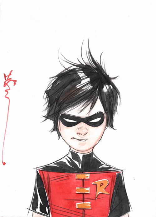 robin-dctim-drake