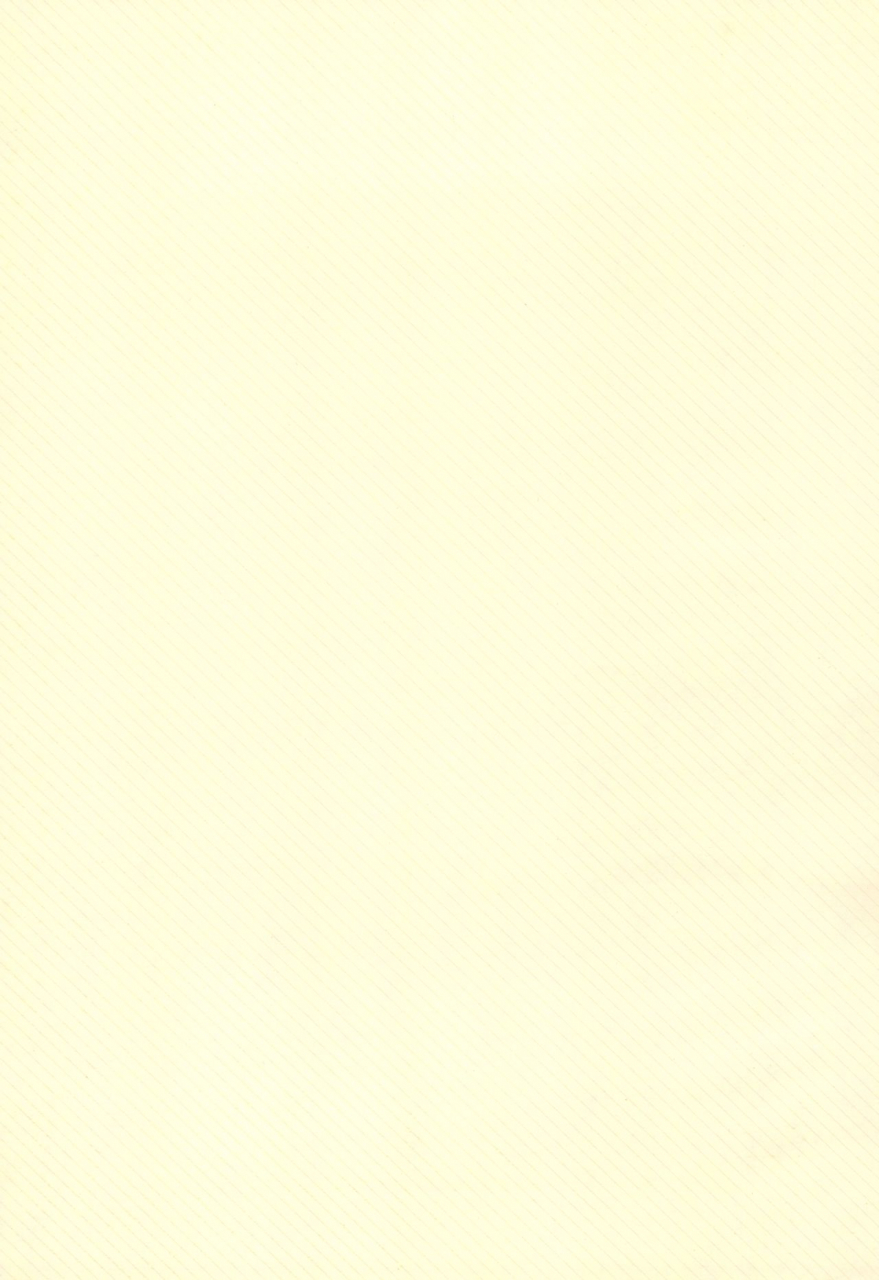 c57-bikkuri-gyouten-various-little-lady-digimon-adventure-english-tshh