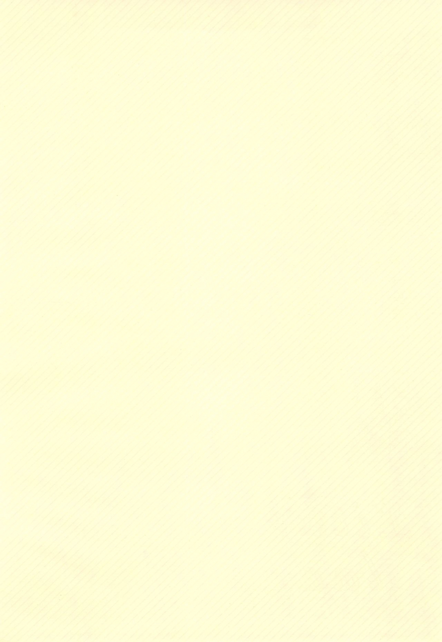 c57-bikkuri-gyouten-various-little-lady-digimon-adventure-english-tshh