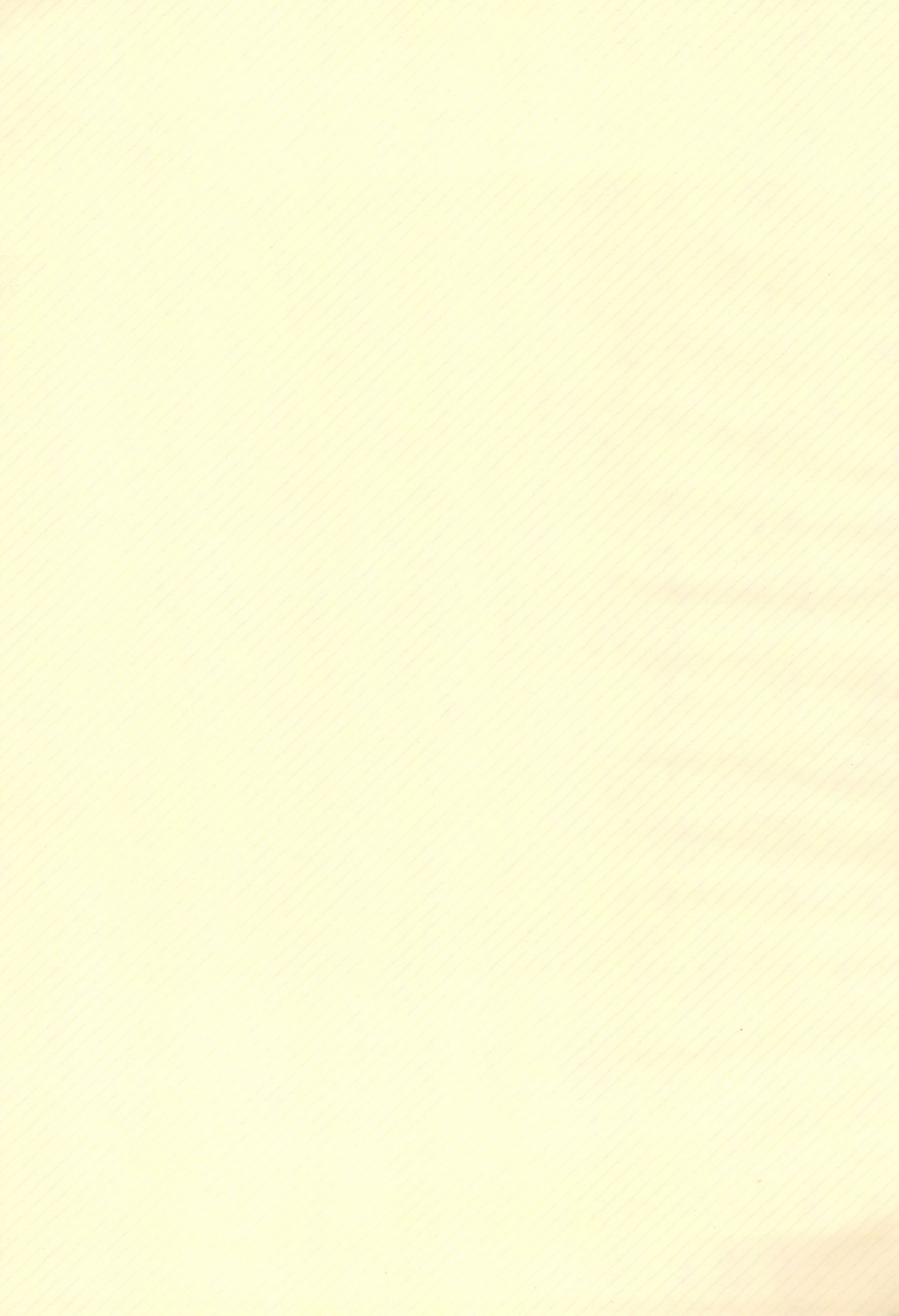 c57-bikkuri-gyouten-various-little-lady-digimon-adventure-english-tshh