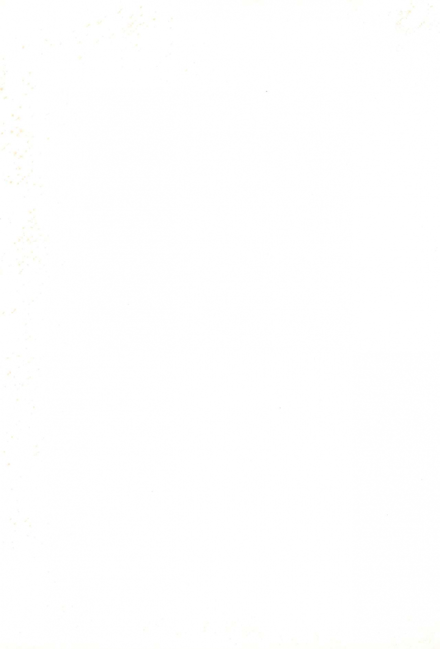 c57-bikkuri-gyouten-various-little-lady-digimon-adventure-english-tshh