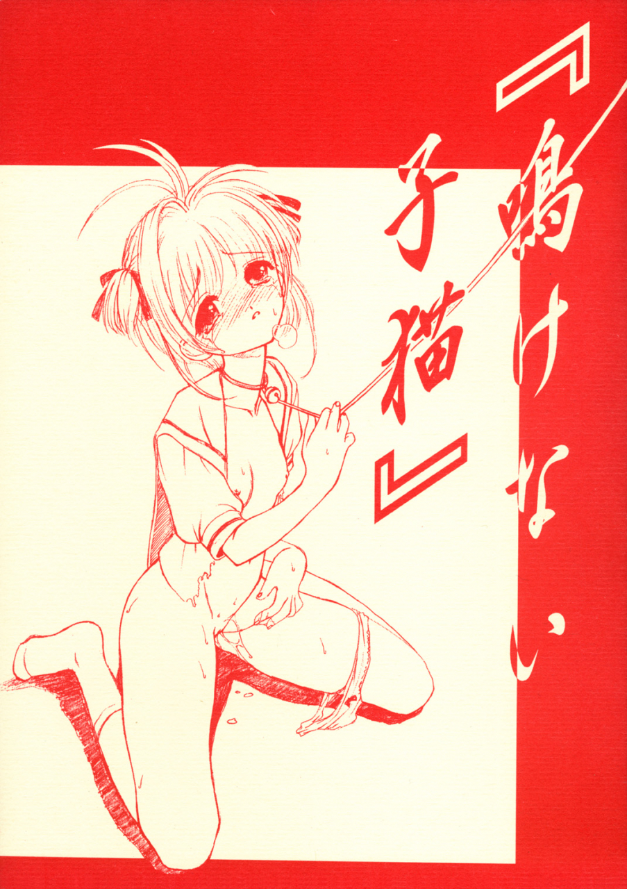 cr28-ekakigoya-notesystem-nanjou-asuka-nakenai-koneko-cardcaptor-sakura