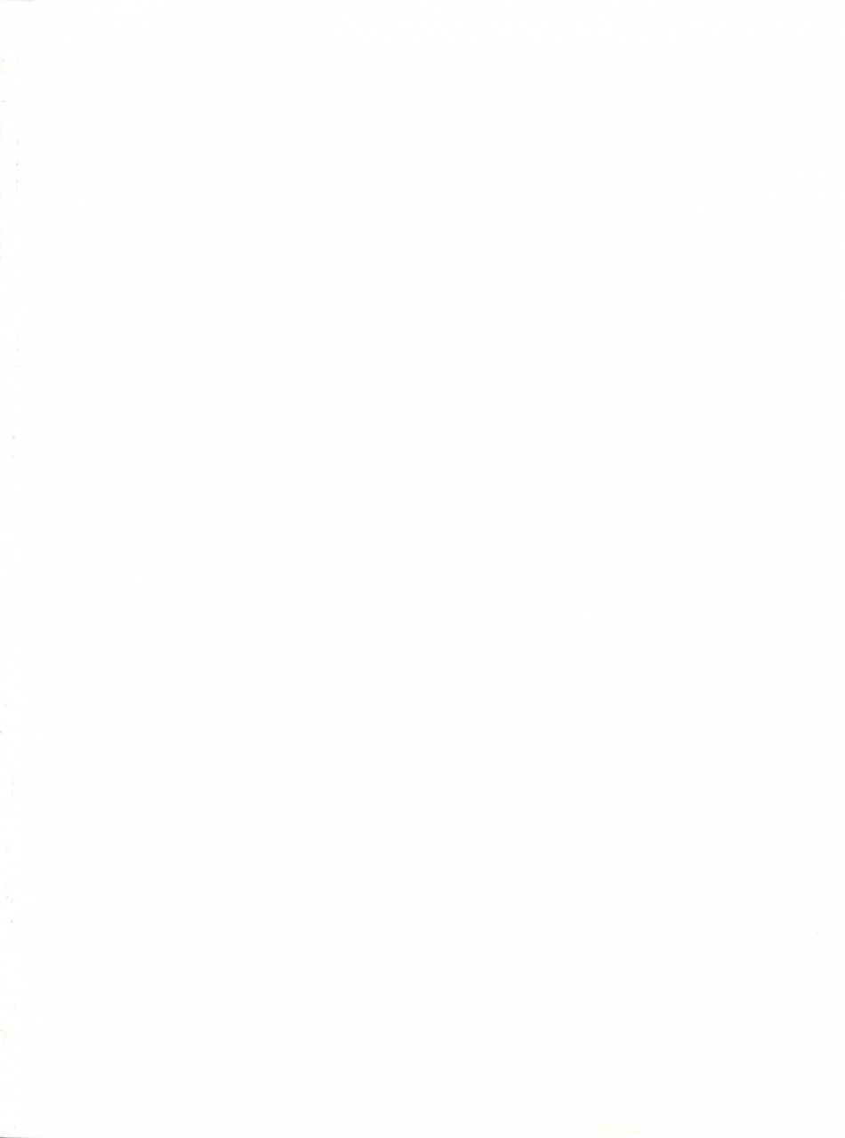 c63-gambler-club-kousaka-jun-cattleya-nee-chan-daikatsuyaku-groove-adventure-rave-english-korijoe