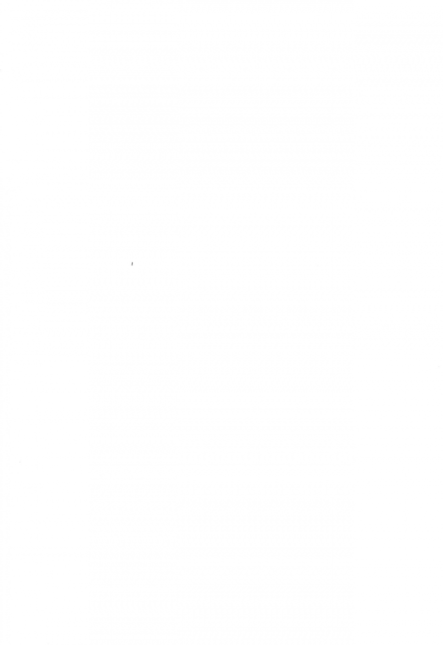 c57-shinobi-no-yakata-iwama-yoshiki-8th-of-ace-card-captor-sakura