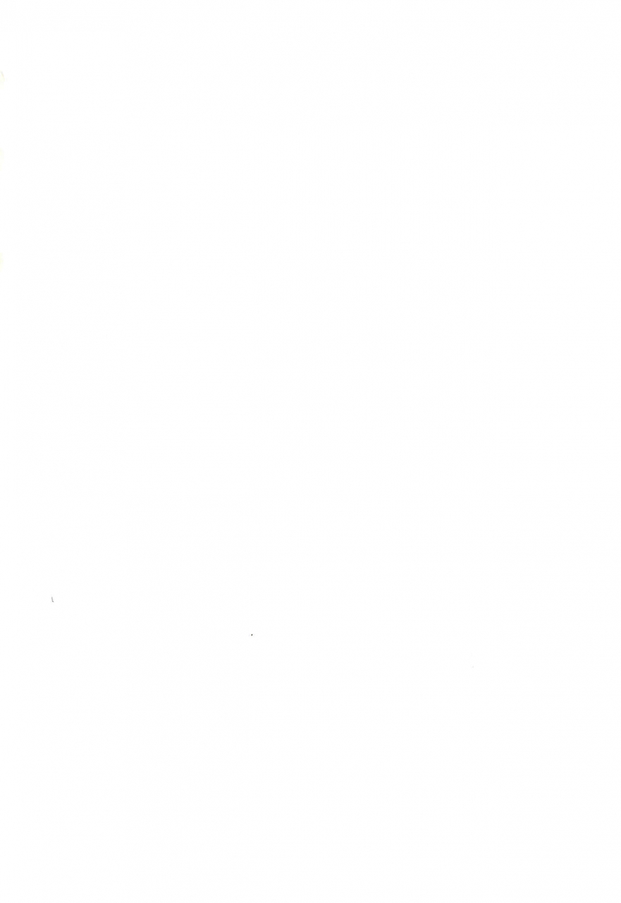 c57-multitask-takeyabu-eco-millennium-ecoko