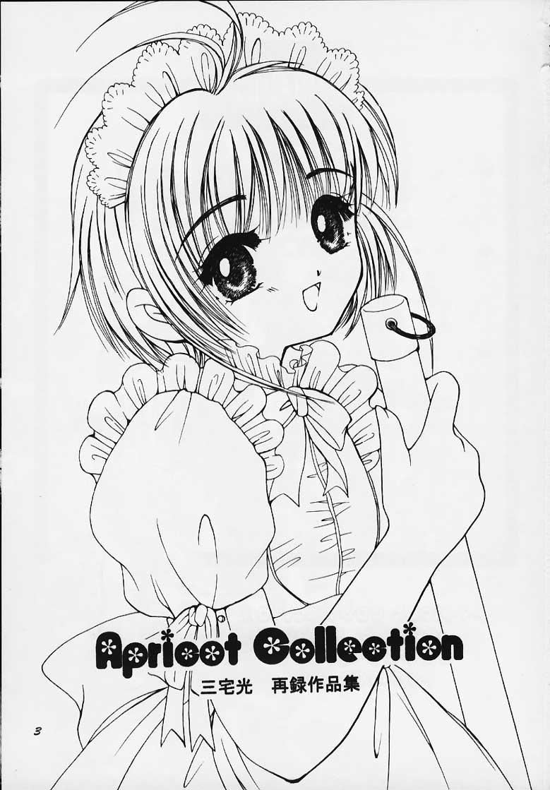 c58-apricot-pie-miyake-hikaru-apricot-collection-cardcaptor-sakura