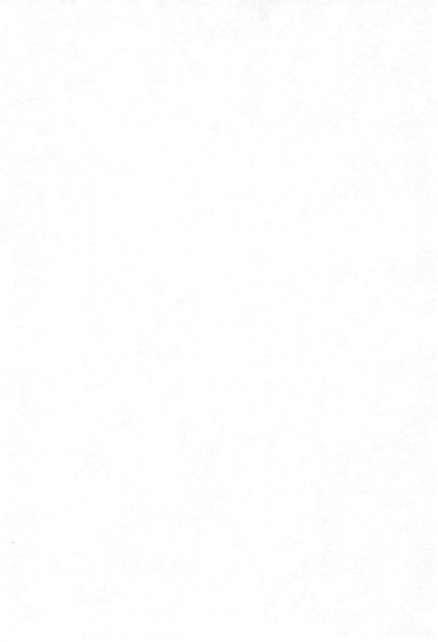 c66-tenny-le-tai-various-loli-neko-hard-ii