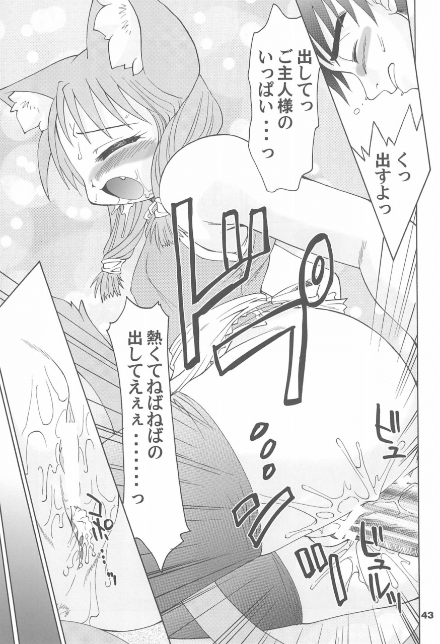 c66-tenny-le-tai-various-loli-neko-hard-ii