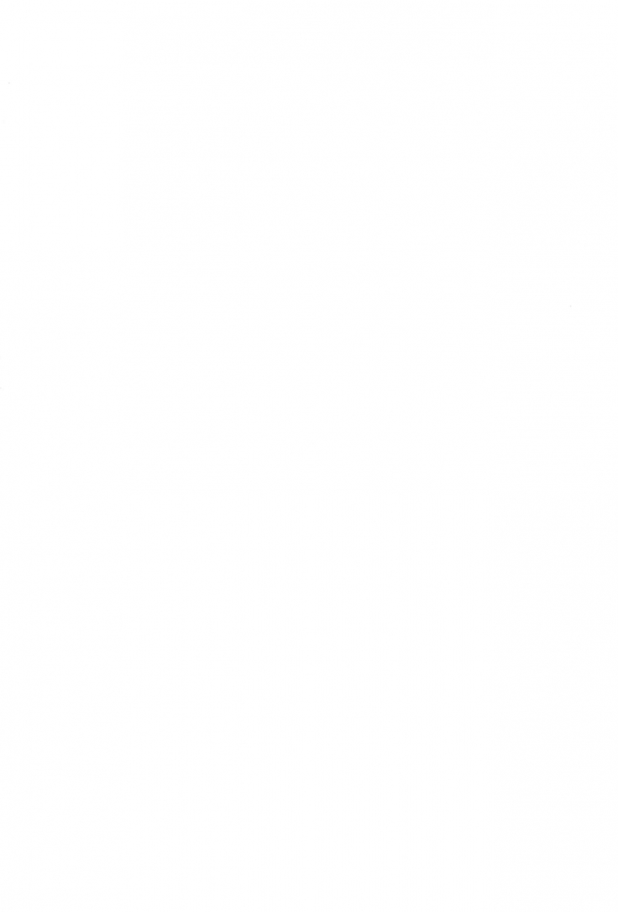 c66-tenny-le-tai-various-loli-neko-hard-ii