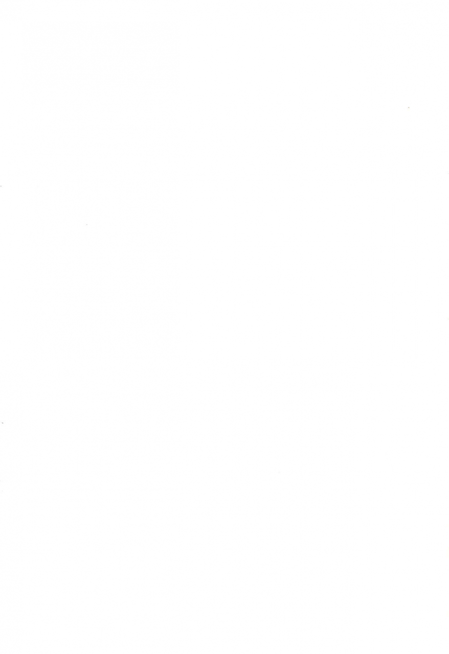 c67-tenny-le-tai-various-you-neko-fundoshi