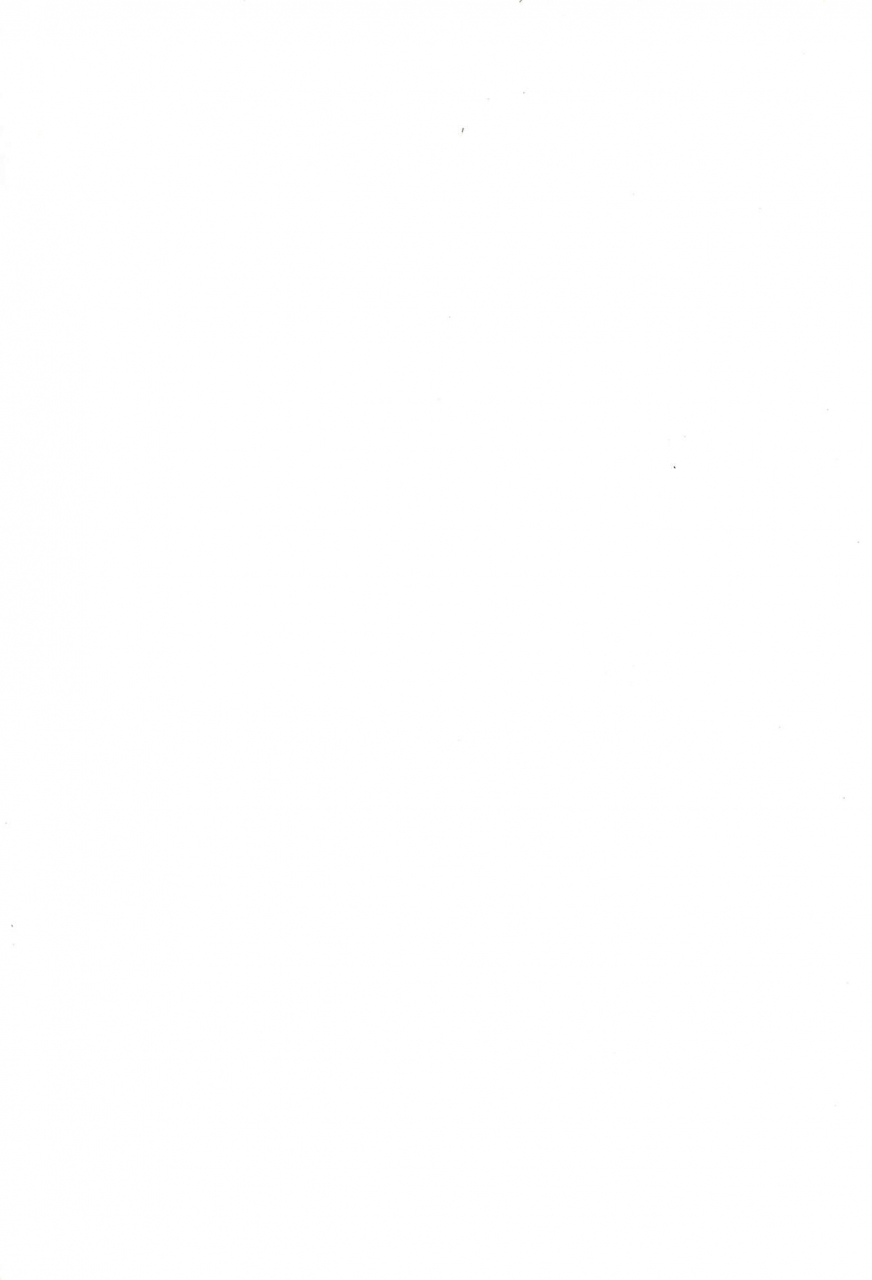 c67-tenny-le-tai-various-you-neko-fundoshi