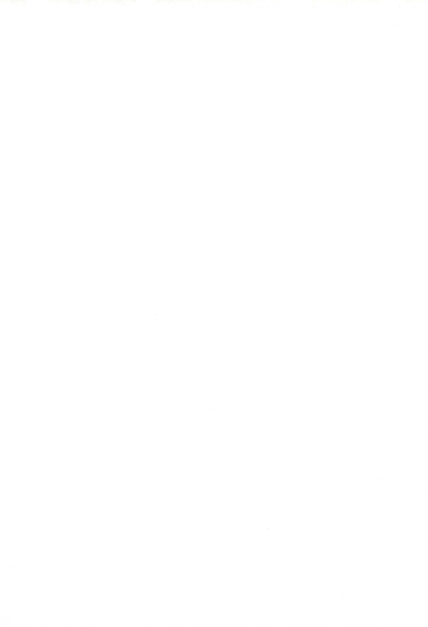 c67-tenny-le-tai-various-you-neko-fundoshi