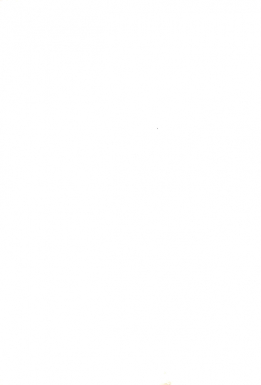 c67-tenny-le-tai-various-you-neko-fundoshi