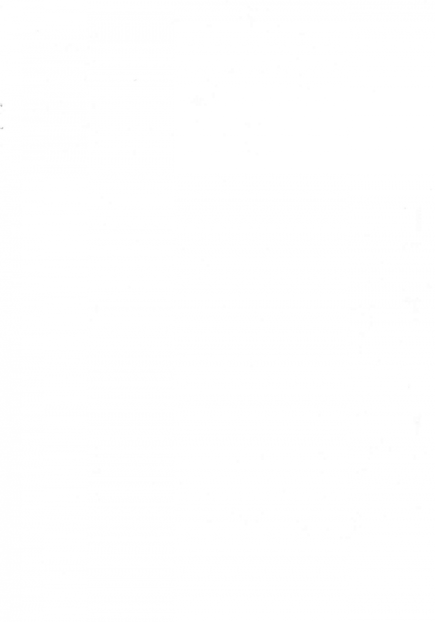 c68-t4p-nekogen-tama